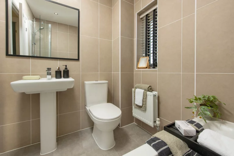 Image carousel 3516816 1765422241