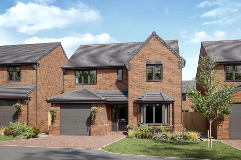 Image carousel 3518221 1765861238