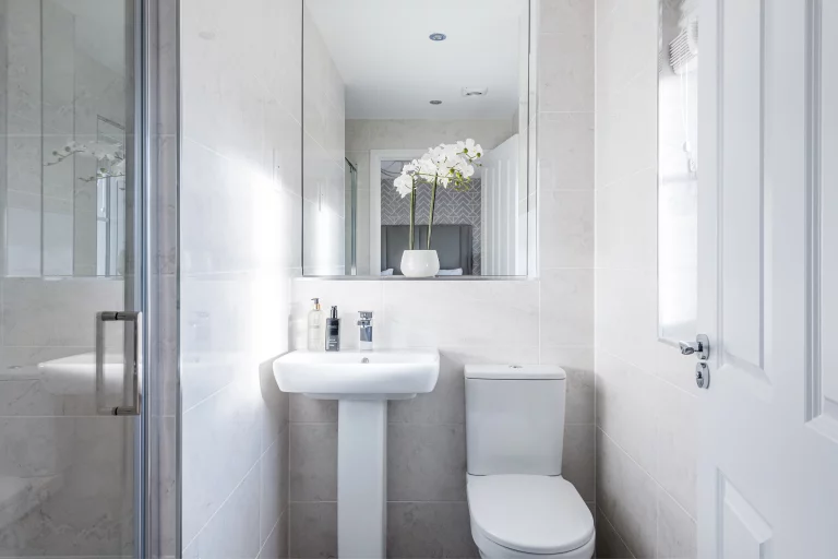 Image carousel 3518541 1765940598