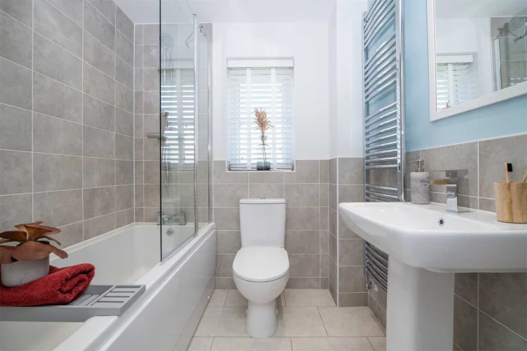 Image carousel 3519236 1766113329