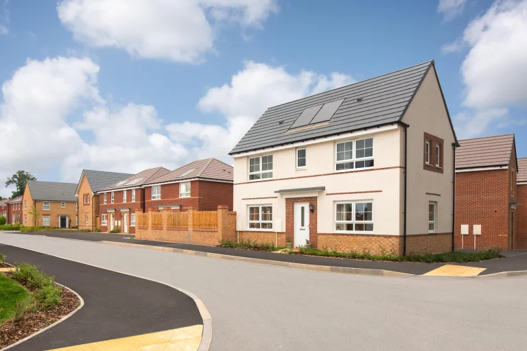 Image carousel 3519706 1766199751