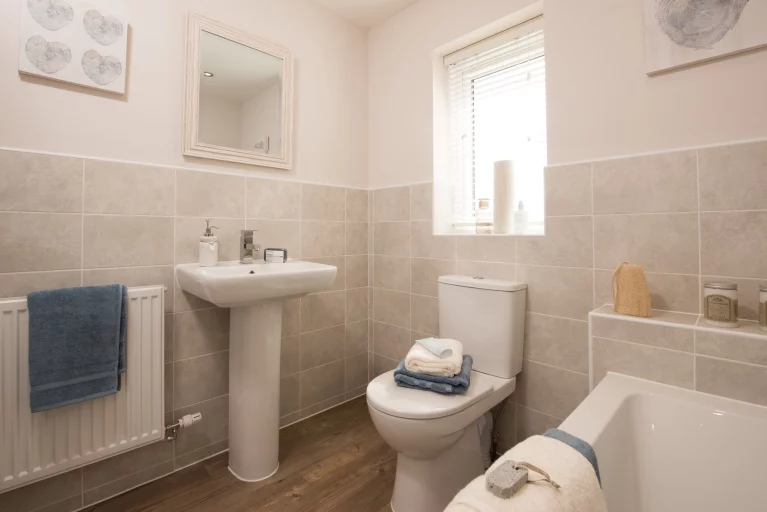 Image carousel 3520331 1766286140