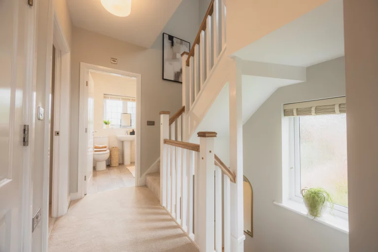 Image carousel 3520946 1766480055