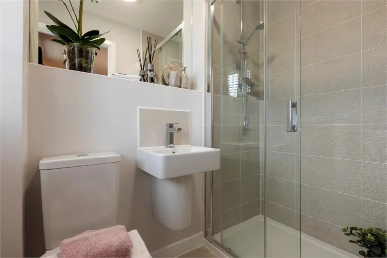 Image carousel 3521441 1766542519