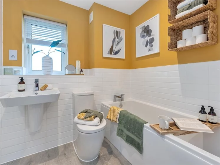 Image carousel 3522506 1766715691