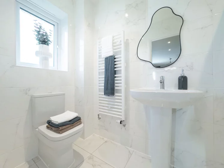 Image carousel 3522971 1767120334