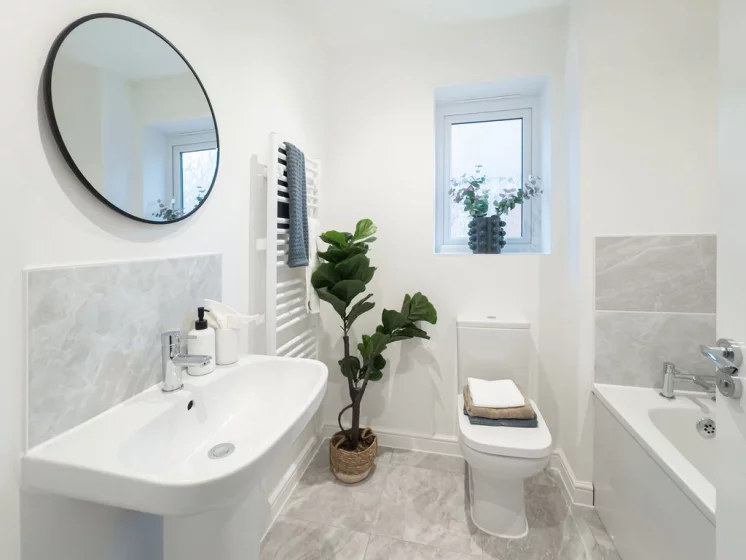 Image carousel 3522996 1767120359