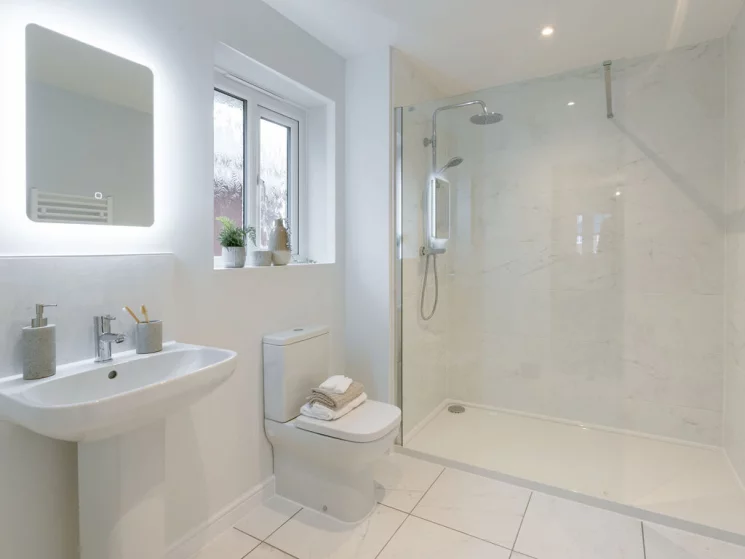 Image carousel 3523261 1767120923