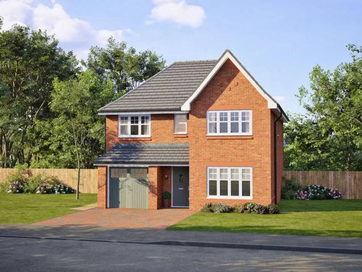 Image carousel 3523336 1767121165