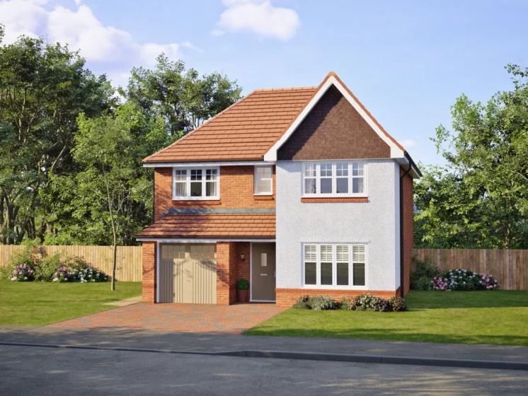 Image carousel 3523416 1767121295