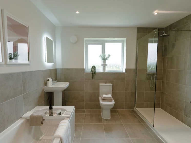 Image carousel 3523426 1767121310