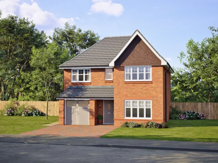 Image carousel 3523446 1767121329