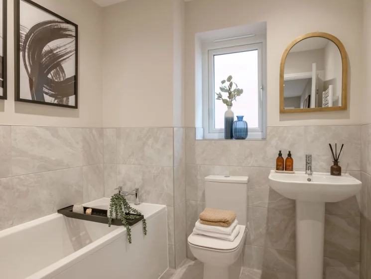 Image carousel 3523566 1767121557