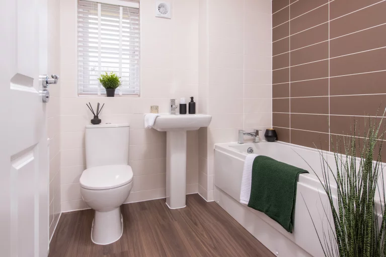 Image carousel 3524621 1767754956