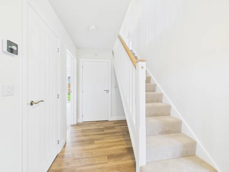 Image carousel 3525796 1767980307