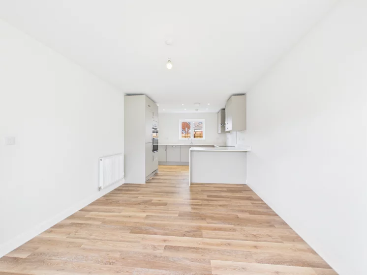 Image carousel 3525806 1767980335