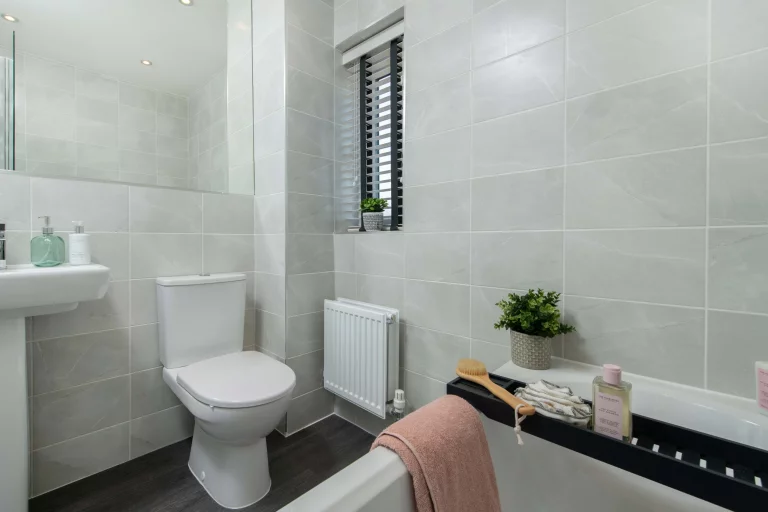 Image carousel 3525901 1768014086