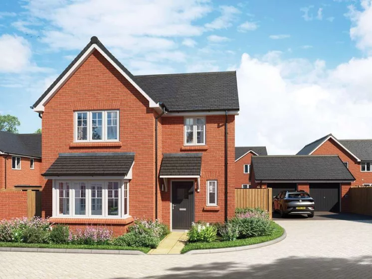 Image carousel 3526071 1768269668