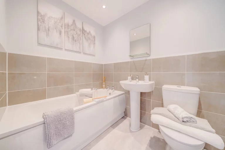 Image carousel 3527086 1768280455