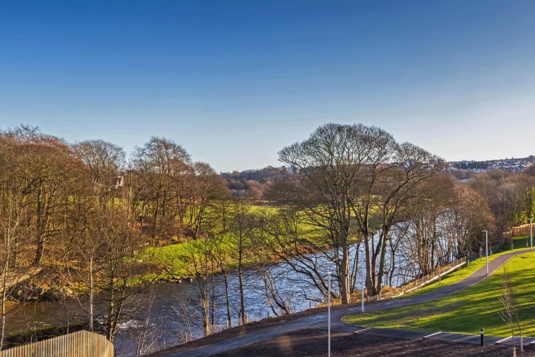 Image carousel 3527571 1768359765