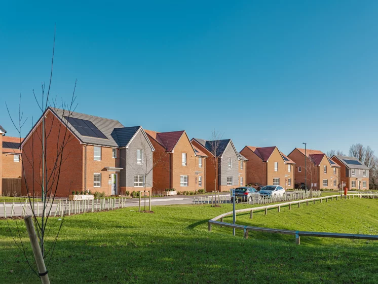 Image carousel 3528061 1768446053