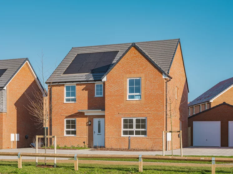 Image carousel 3528081 1768446182