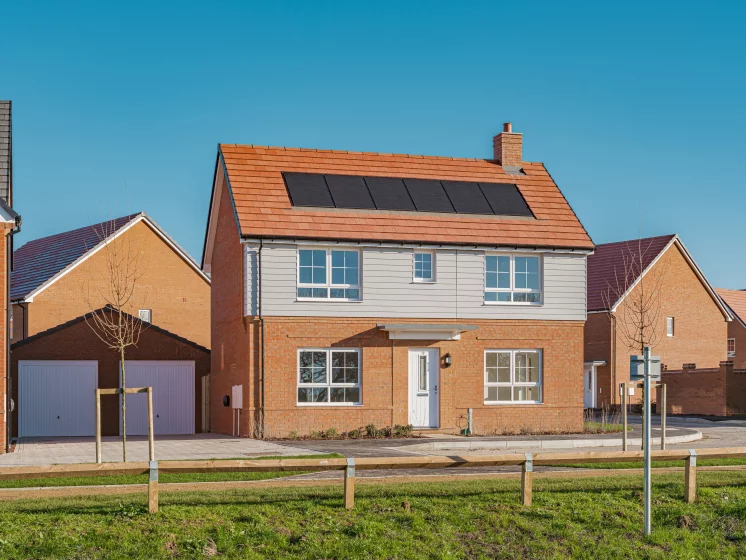 Image carousel 3528086 1768446183