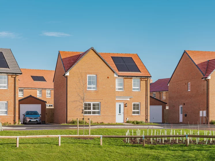 Image carousel 3528101 1768446183