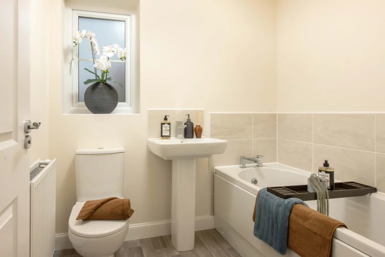 Image carousel 3528161 1768446211