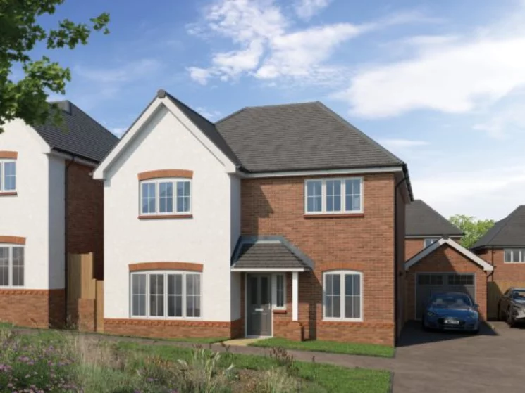 Image carousel 3528996 1768581079