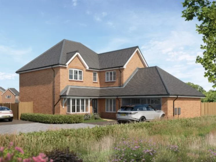 Image carousel 3529001 1768581172