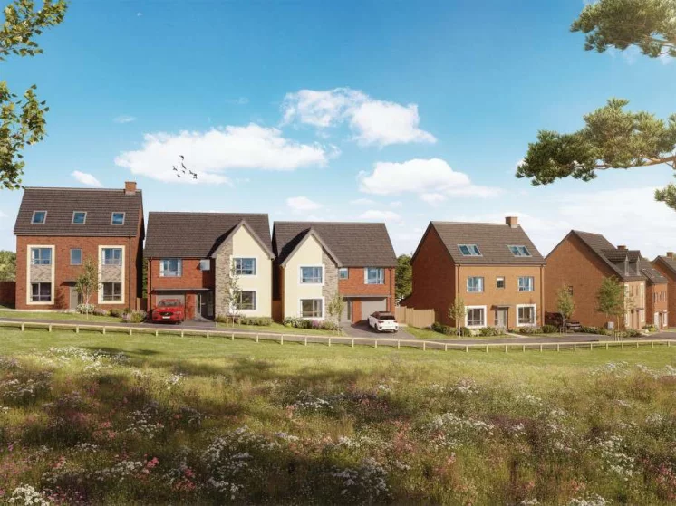 Image carousel 3529141 1768615268