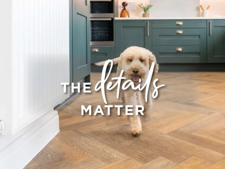 Image carousel 3529146 1768615268