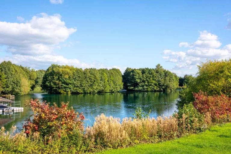 Image carousel 3529201 1768615270