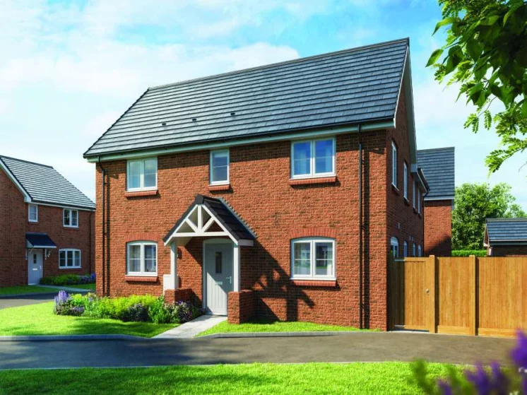 Image carousel 3529261 1768615290