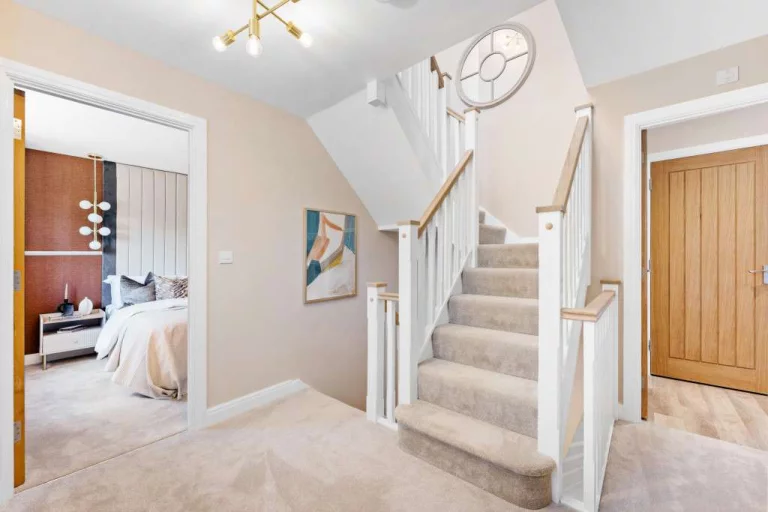 Image carousel 3529641 1768615297