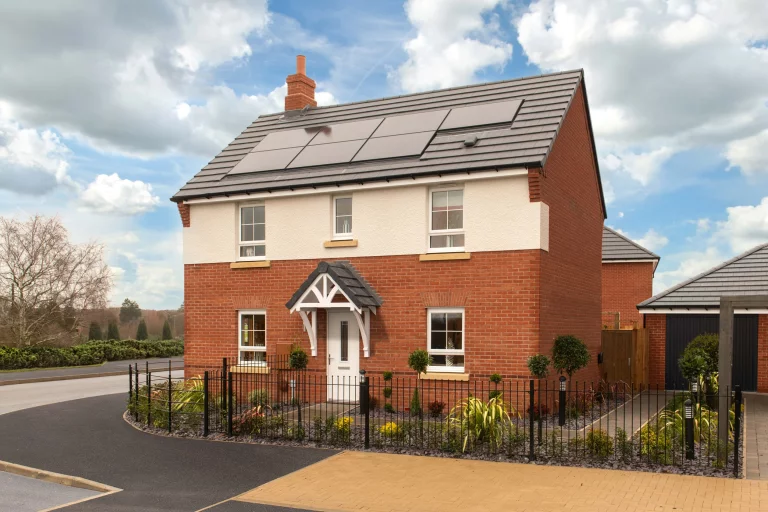 Image carousel 3529981 1768618874