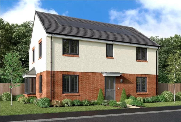 Image carousel 3531031 1768789283