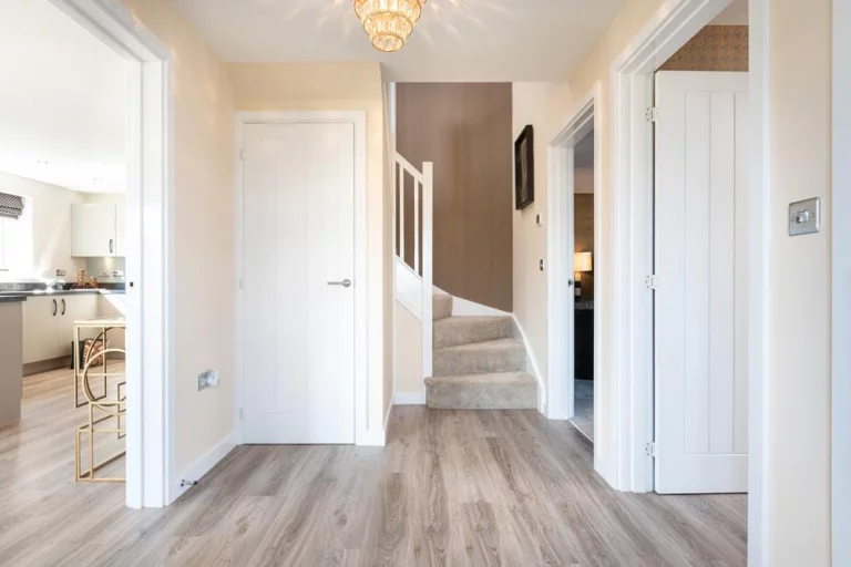 Image carousel 3531031 1769221211