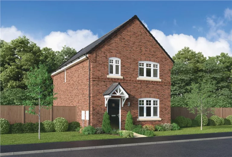 Image carousel 3531381 1768789299