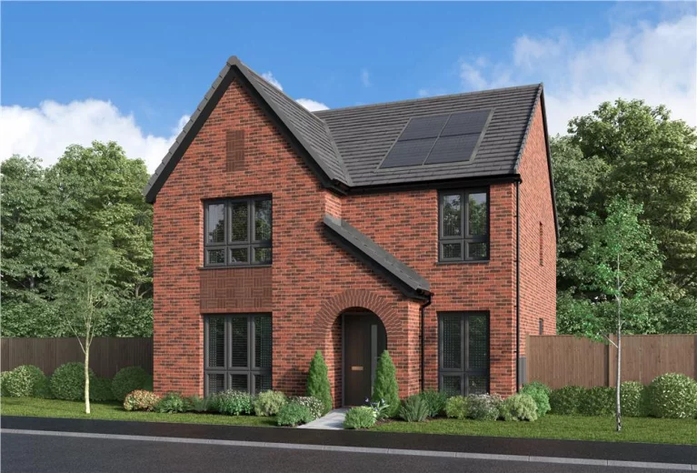 Image carousel 3531471 1770863241