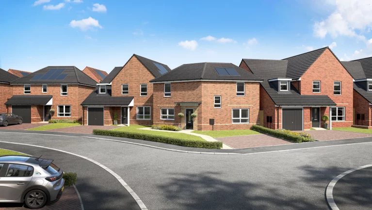 Image carousel 3533806 1769137259