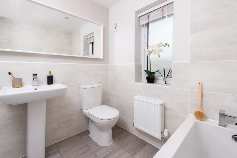 Image carousel 3535406 1769223745