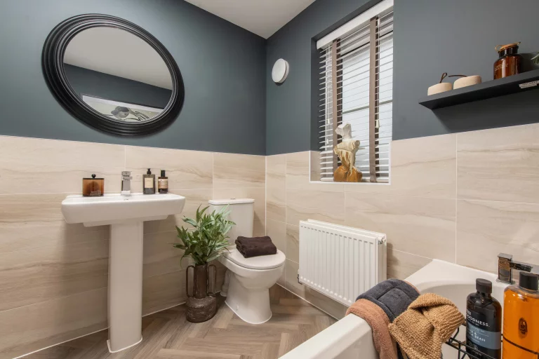 Image carousel 3535561 1769223806