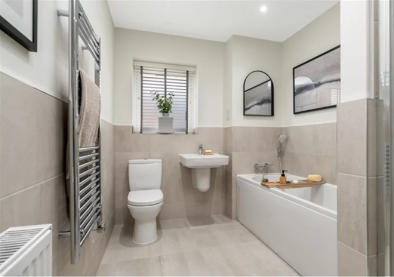 Image carousel 3535686 1769420568