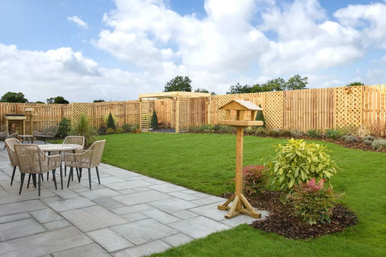 Image carousel 3536101 1769483012