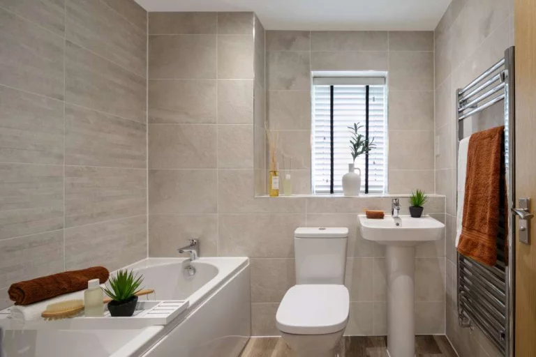 Image carousel 3536586 1769565658