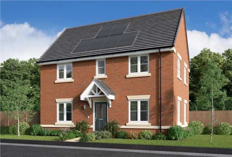 Image carousel 3536916 1771639932