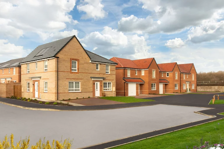 Image carousel 3536946 1769569269