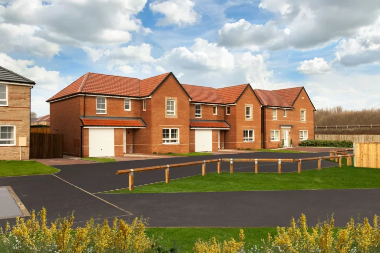 Image carousel 3536956 1769569270